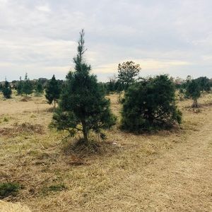 Meet your Posher, Dona